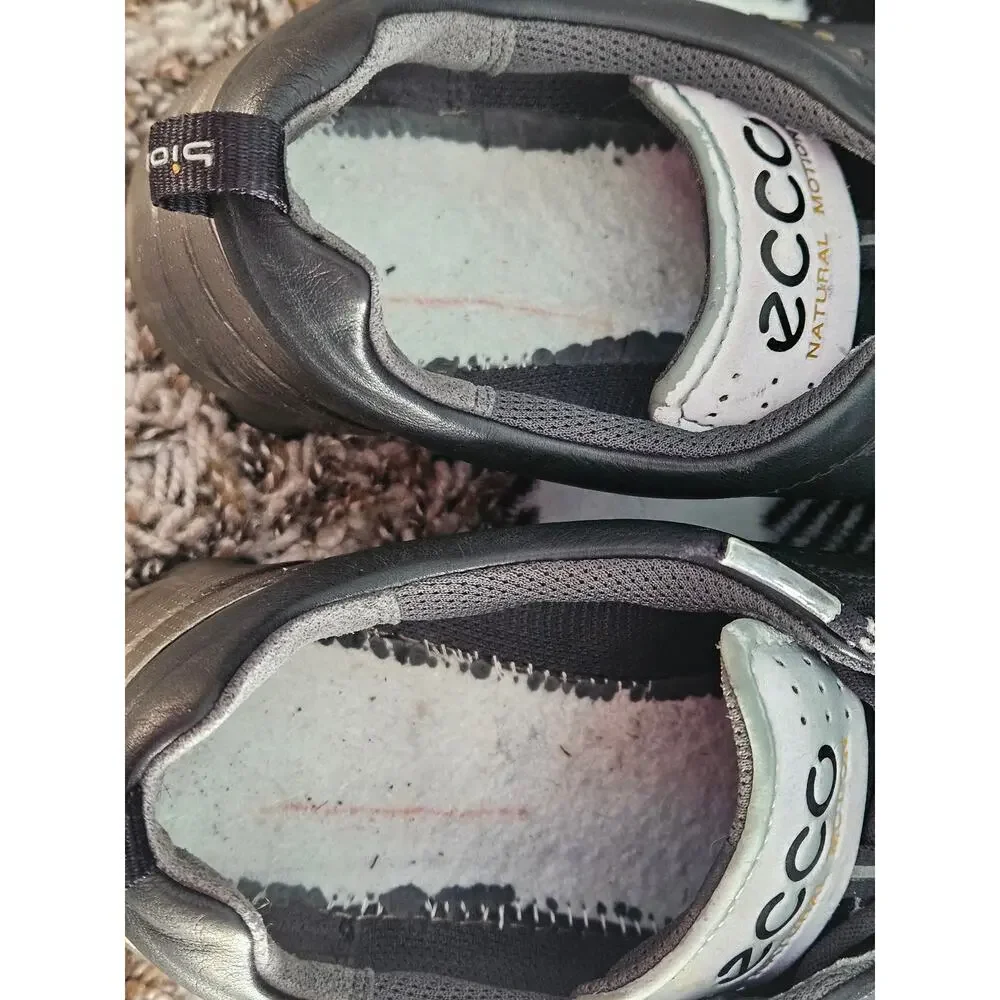 Ecco excellent pre